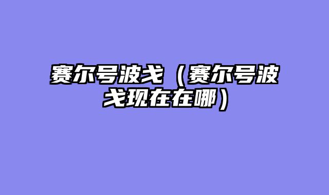 赛尔号波戈（赛尔号波戈现在在哪）