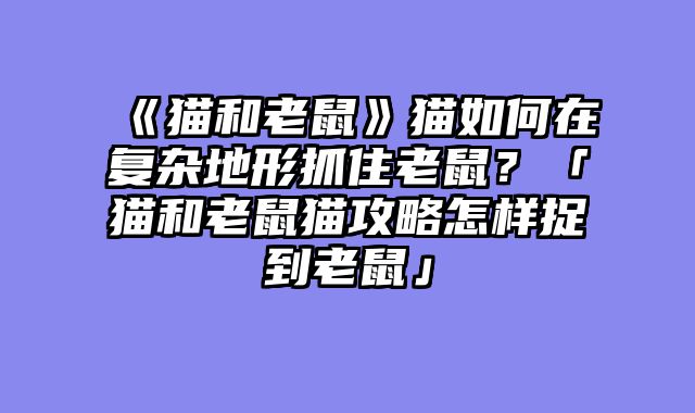 《猫和老鼠》猫如何在复杂地形抓住老鼠？「猫和老鼠猫攻略怎样捉到老鼠」