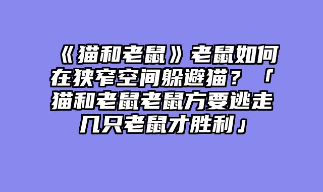 《猫和老鼠》老鼠如何在狭窄空间躲避猫？「猫和老鼠老鼠方要逃走几只老鼠才胜利」