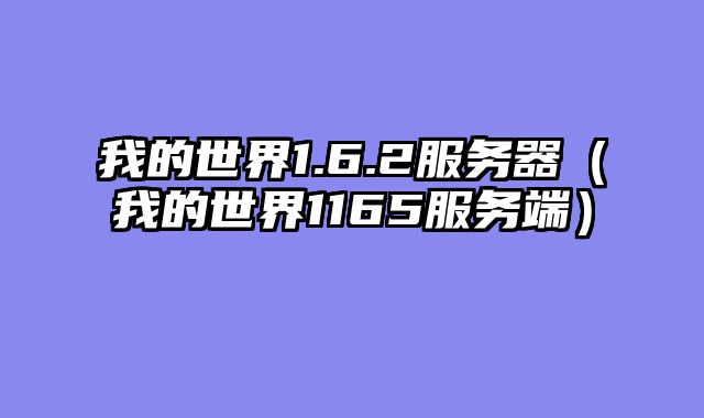 我的世界1.6.2服务器(我的世界1165服务端)