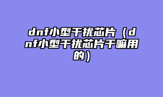 dnf小型干扰芯片(dnf小型干扰芯片干嘛用的)