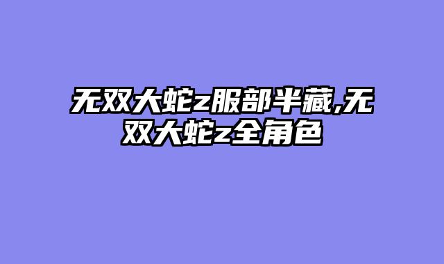 无双大蛇z服部半藏,无双大蛇z全角色