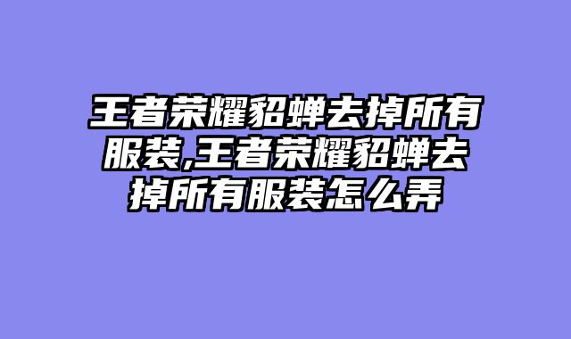 王者荣耀貂蝉去掉所有服装,王者荣耀貂蝉去掉所有服装怎么弄