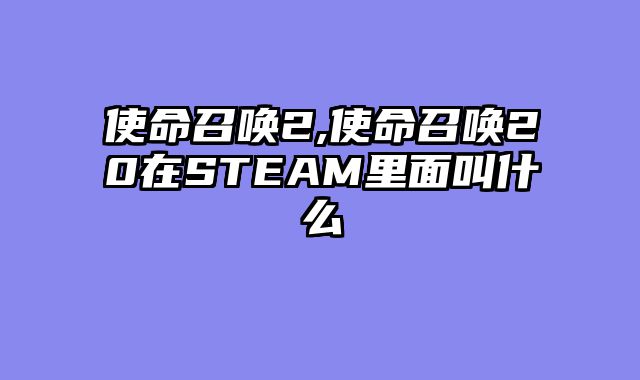 使命召唤2,使命召唤20在STEAM里面叫什么