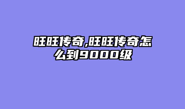旺旺传奇,旺旺传奇怎么到9000级