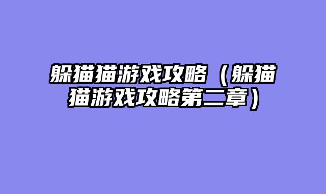 躲猫猫游戏攻略（躲猫猫游戏攻略第二章）
