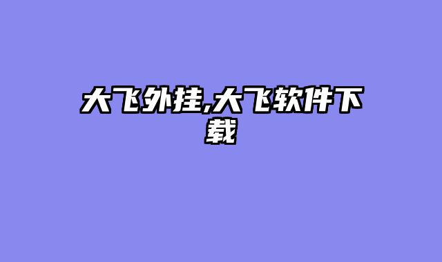 大飞外挂,大飞软件下载