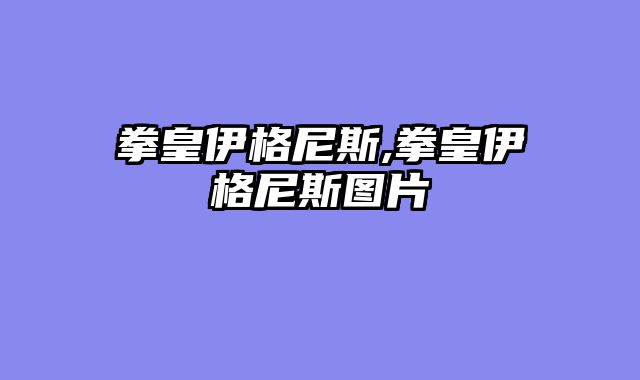 拳皇伊格尼斯,拳皇伊格尼斯图片