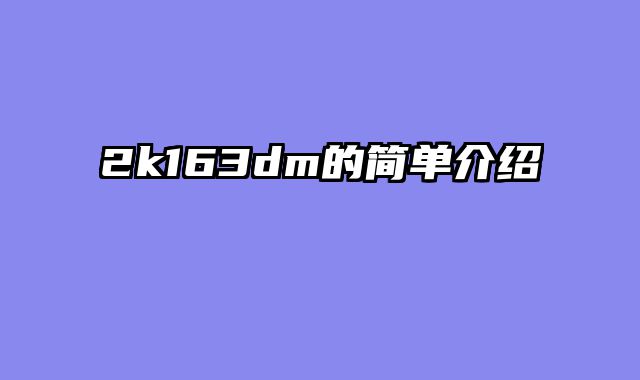 2k163dm的简单介绍