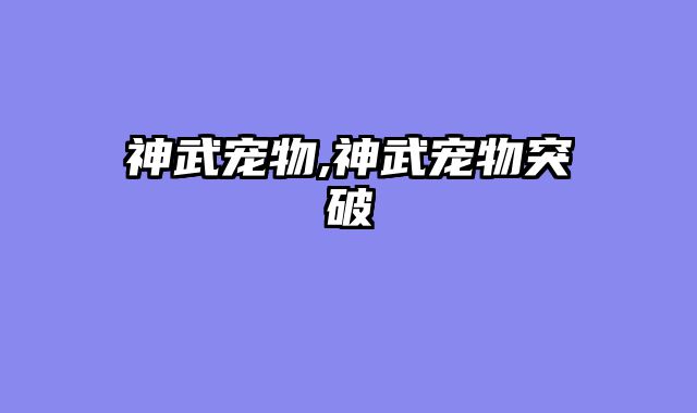 神武宠物,神武宠物突破
