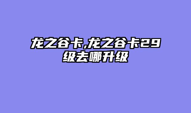 龙之谷卡,龙之谷卡29级去哪升级