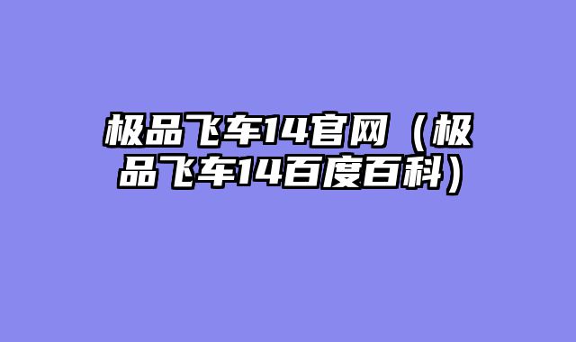 极品飞车14官网(极品飞车14百度百科)