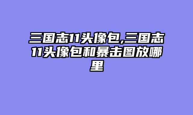 三国志11头像包,三国志11头像包和暴击图放哪里