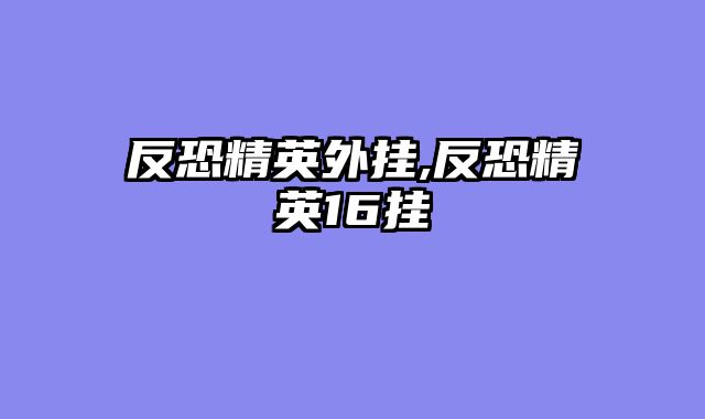 反恐精英外挂,反恐精英16挂