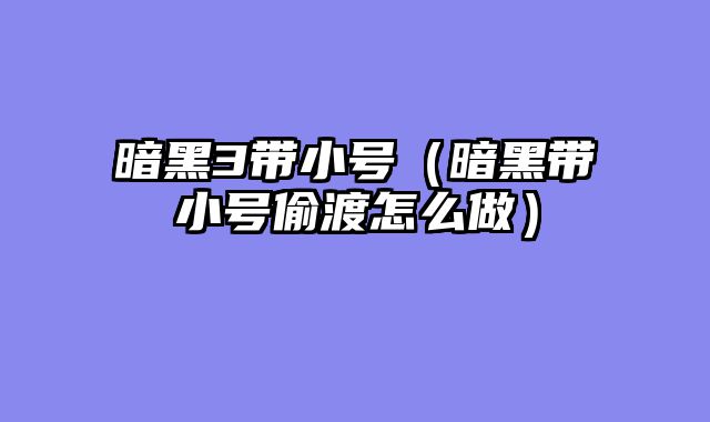 暗黑3带小号（暗黑带小号偷渡怎么做）