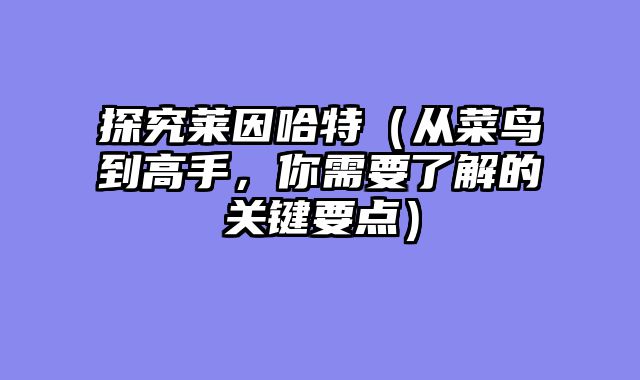 探究莱因哈特(从菜鸟到高手,你需要了解的关键要点)
