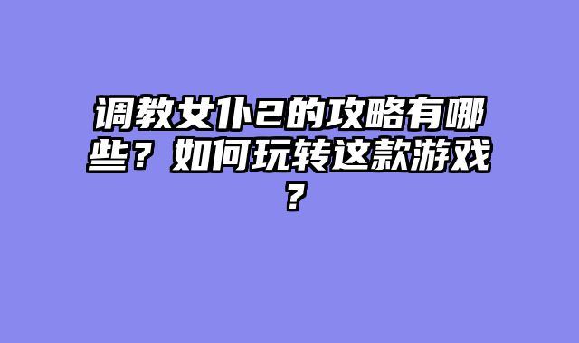 调教女仆2的攻略有哪些？如何玩转这款游戏？