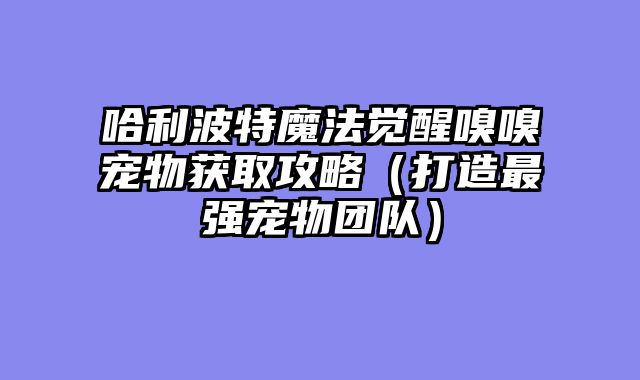 哈利波特魔法觉醒嗅嗅宠物获取攻略（打造最强宠物团队）