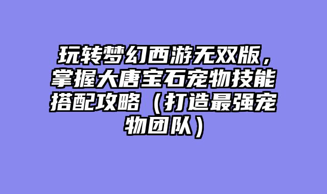 玩转梦幻西游无双版，掌握大唐宝石宠物技能搭配攻略（打造最强宠物团队）