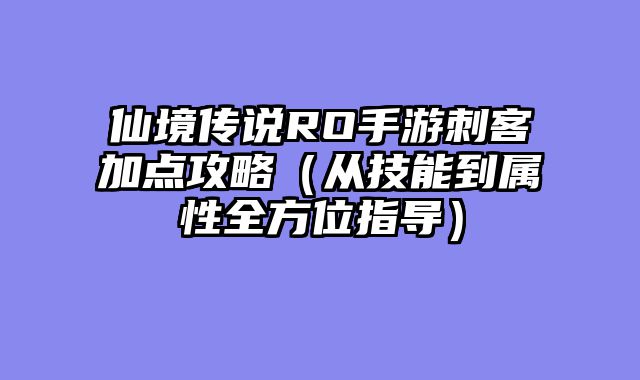 仙境传说RO手游刺客加点攻略（从技能到属性全方位指导）