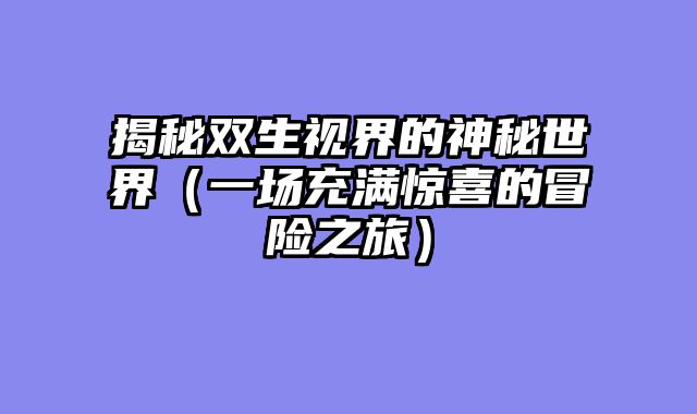 揭秘双生视界的神秘世界（一场充满惊喜的冒险之旅）