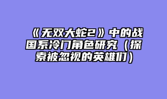 《无双大蛇2》中的战国系冷门角色研究（探索被忽视的英雄们）