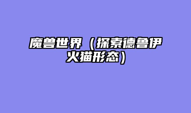魔兽世界（探索德鲁伊火猫形态）