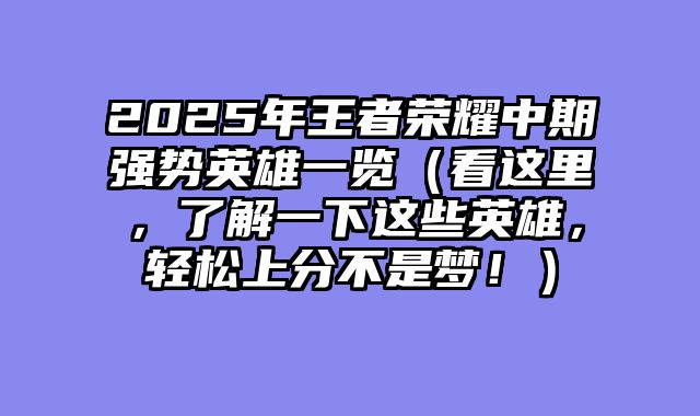 2025年王者荣耀中期强势英雄一览（看这里，了解一下这些英雄，轻松上分不是梦！）