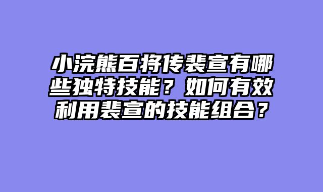 小浣熊百将传裴宣有哪些独特技能？如何有效利用裴宣的技能组合？
