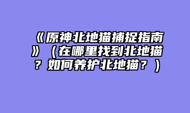 《原神北地猫捕捉指南》（在哪里找到北地猫？如何养护北地猫？）