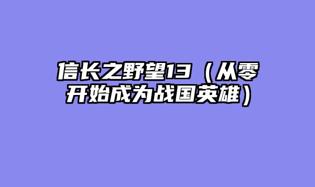信长之野望13（从零开始成为战国英雄）