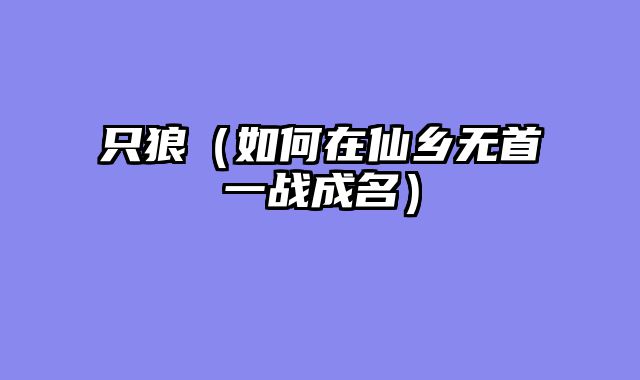 只狼（如何在仙乡无首一战成名）