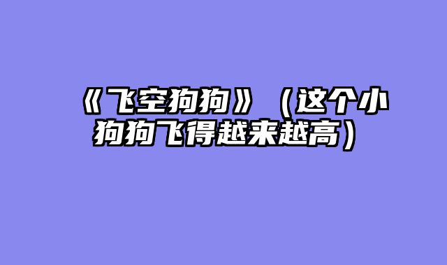 《飞空狗狗》（这个小狗狗飞得越来越高）