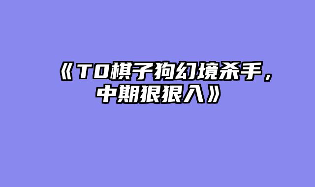 《T0棋子狗幻境杀手，中期狠狠入》