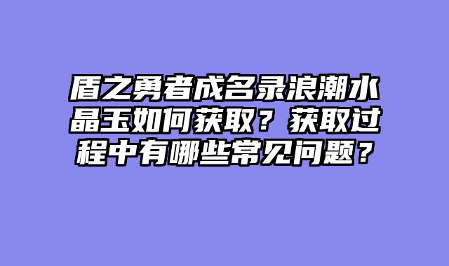 盾之勇者成名录浪潮水晶玉如何获取？获取过程中有哪些常见问题？