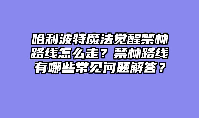哈利波特魔法觉醒禁林路线怎么走？禁林路线有哪些常见问题解答？