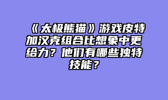 《太极熊猫》游戏皮特加汉克组合比想象中更给力？他们有哪些独特技能？