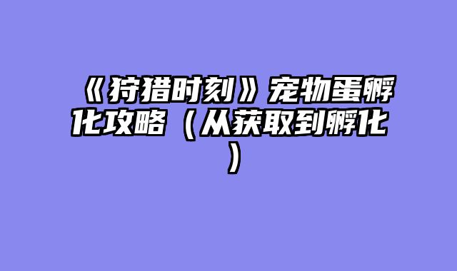 《狩猎时刻》宠物蛋孵化攻略（从获取到孵化）