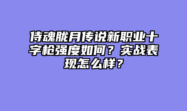侍魂胧月传说新职业十字枪强度如何？实战表现怎么样？