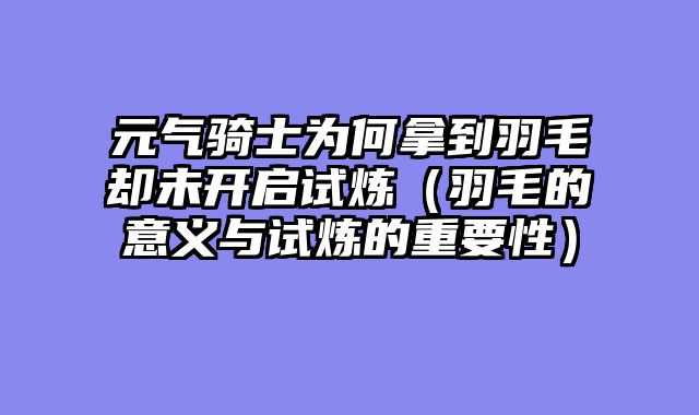 元气骑士为何拿到羽毛却未开启试炼（羽毛的意义与试炼的重要性）