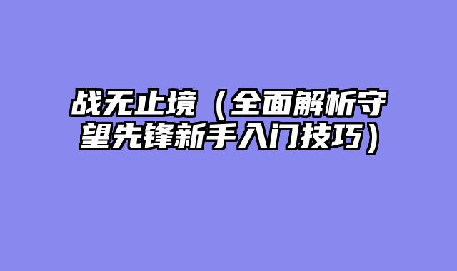 战无止境（全面解析守望先锋新手入门技巧）