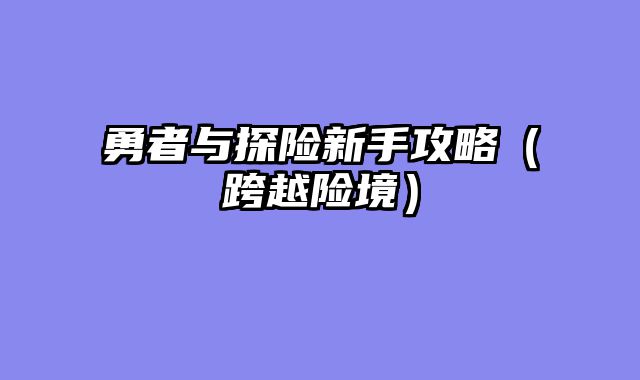 勇者与探险新手攻略（跨越险境）