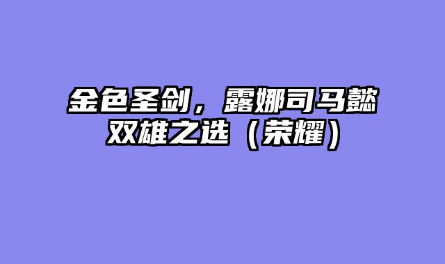 金色圣剑，露娜司马懿双雄之选（荣耀）