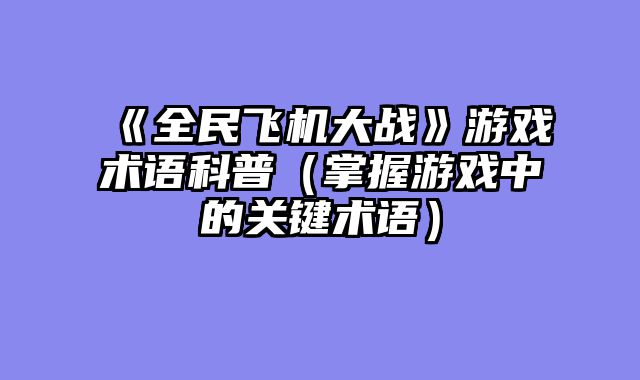 《全民飞机大战》游戏术语科普（掌握游戏中的关键术语）