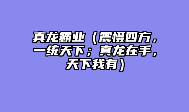 真龙霸业（震慑四方，一统天下；真龙在手，天下我有）