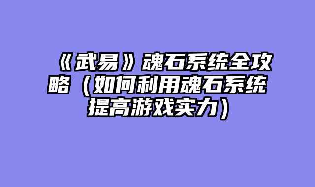 《武易》魂石系统全攻略（如何利用魂石系统提高游戏实力）