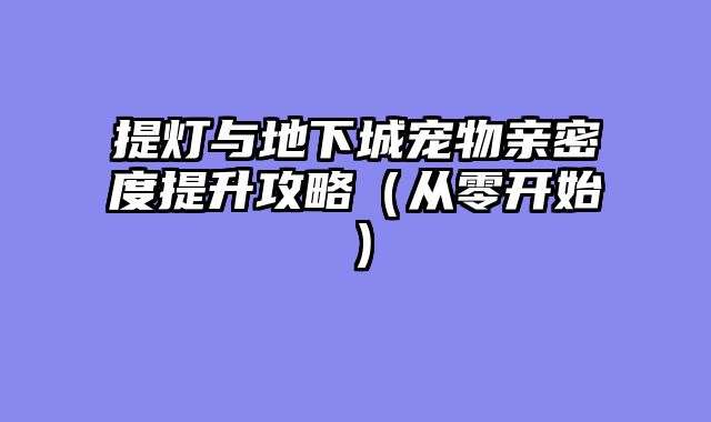 提灯与地下城宠物亲密度提升攻略（从零开始）