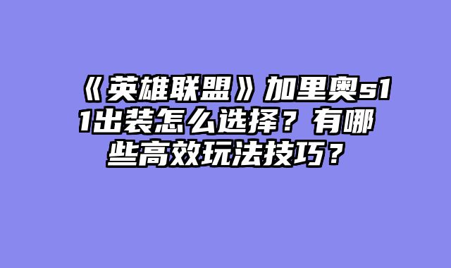 《英雄联盟》加里奥s11出装怎么选择？有哪些高效玩法技巧？