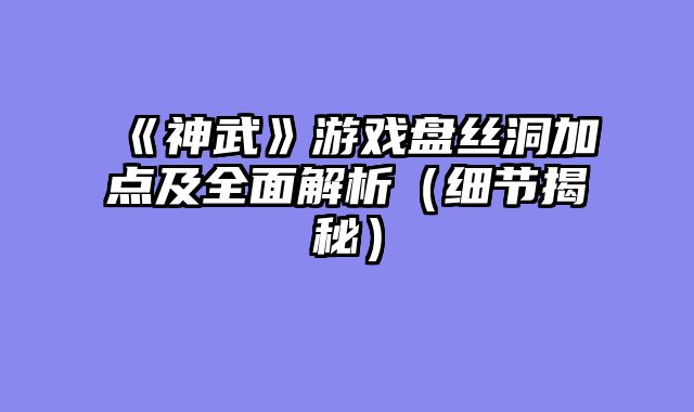 《神武》游戏盘丝洞加点及全面解析（细节揭秘）