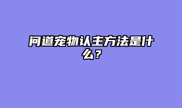 问道宠物认主方法是什么？